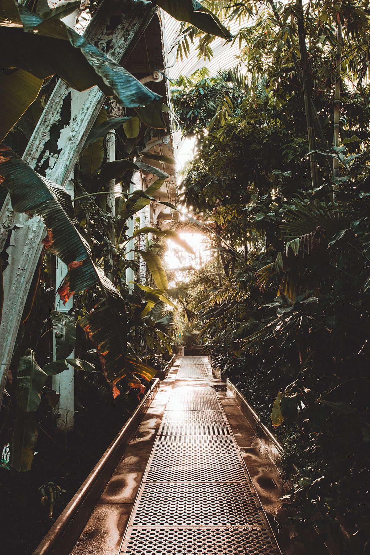 Your Narrative Edge brand photography: plants